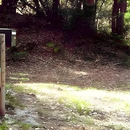 Hébergement de vacances La Cigale - Maison Lacanau
