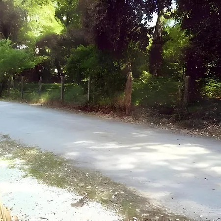 La Cigale - Maison Hébergement de vacances Lacanau